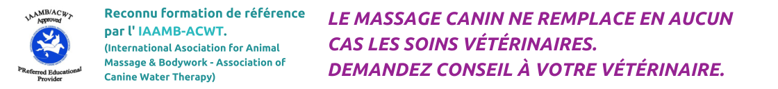 Le massage canin ne remplace pas les soins vétérinaires, il les complète